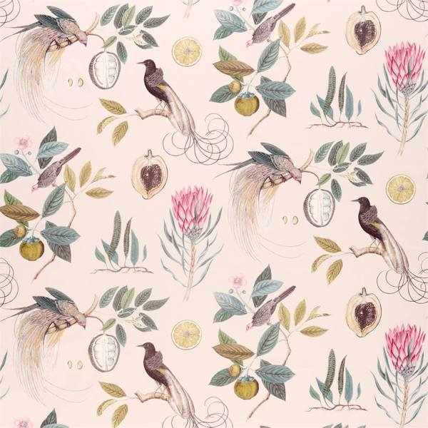 Sanderson Paradesia Orchid/Grey -kangas