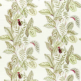 Sanderson Calathea — Glasshouse Fabrics Olive -kangas