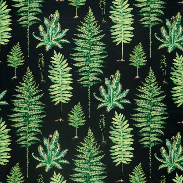 Sanderson Fernery -kangasnäyte