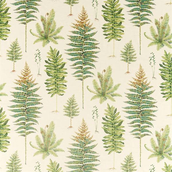 Fernery Olive — Sanderson Stoffmuster