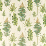 Fernery Olive — Sanderson Stoffmuster