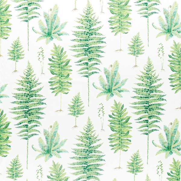 Fernery Botanical Green — Sanderson Stoffmuster