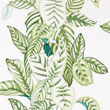 Sanderson Tapete Calathea Botanical Green
