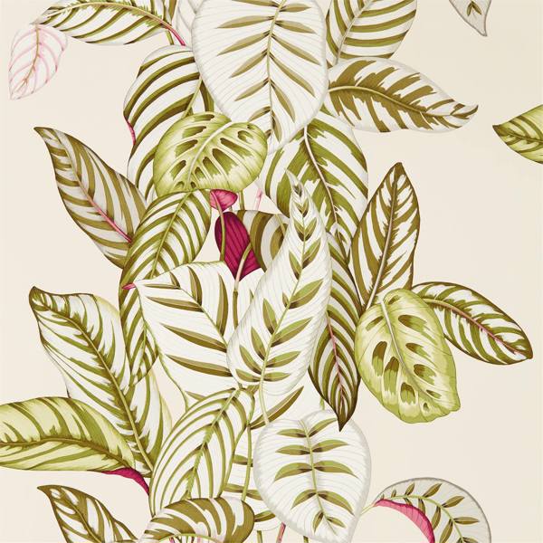 Sanderson Tapete Calathea Olive