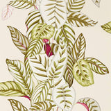 Sanderson Tapete Calathea Olive