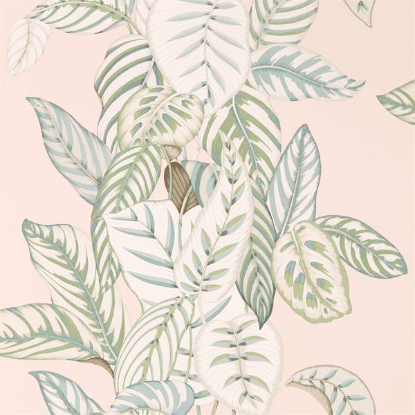 Sanderson Tapete Calathea Orchid/Eucalyptus