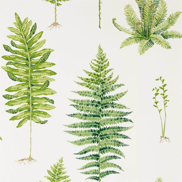 Sanderson Tapet Fernery Botanical Green