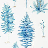 Sanderson Tapet Fernery China Blue