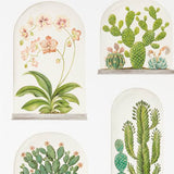 Sanderson Tapete Terrariums Chalk/Green