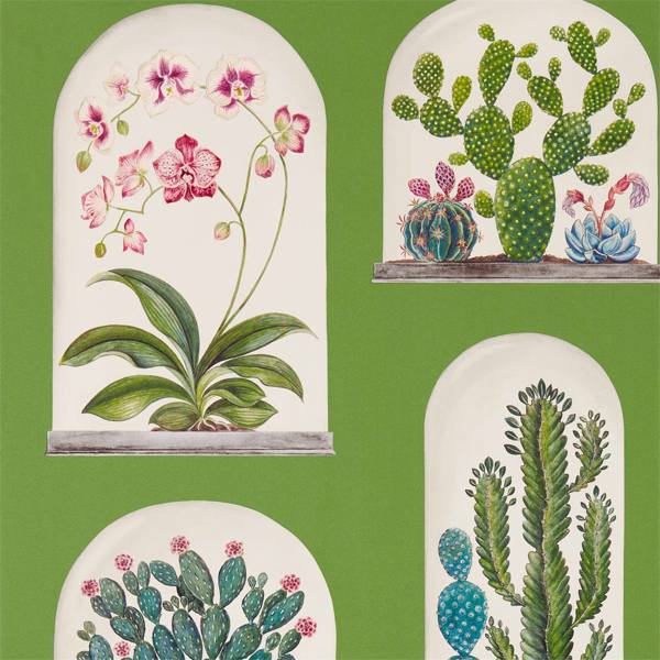 Sanderson Tapete Terrariums Botanical Green/Multi