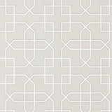 Sanderson Tapet Hampton Trellis Grey