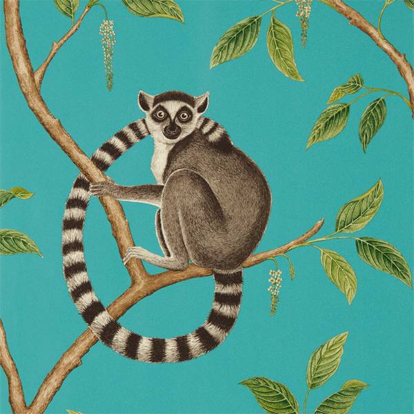 Ringtailed Lemur Tapet — Sanderson