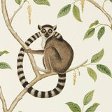 Sanderson Tapete Ringtailed Lemur Ringtailed Lemur Cream/Olive