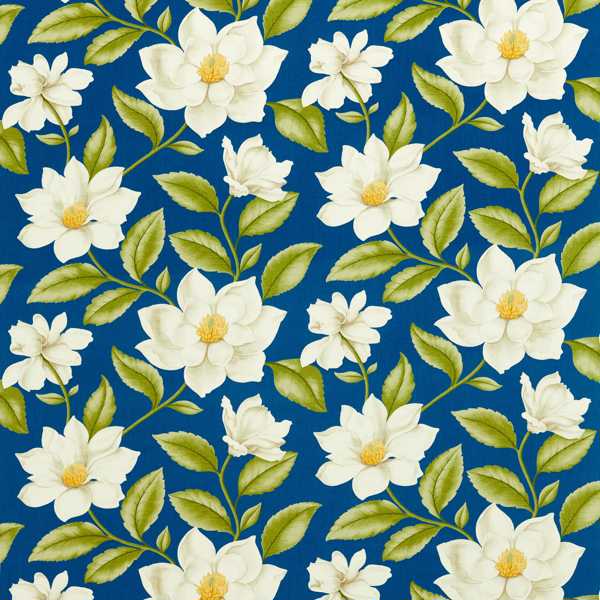 Sanderson Grandiflora — DOSF Bright Blue -kangas
