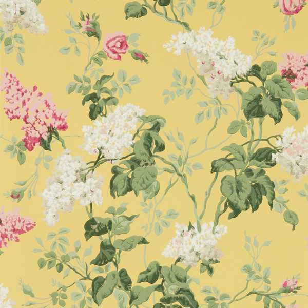 Sanderson Sommerville Carmen/Daffodil -tapetti