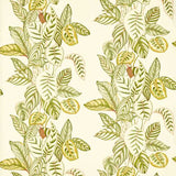 Calathea Samphire — Sanderson -kangasnäyte