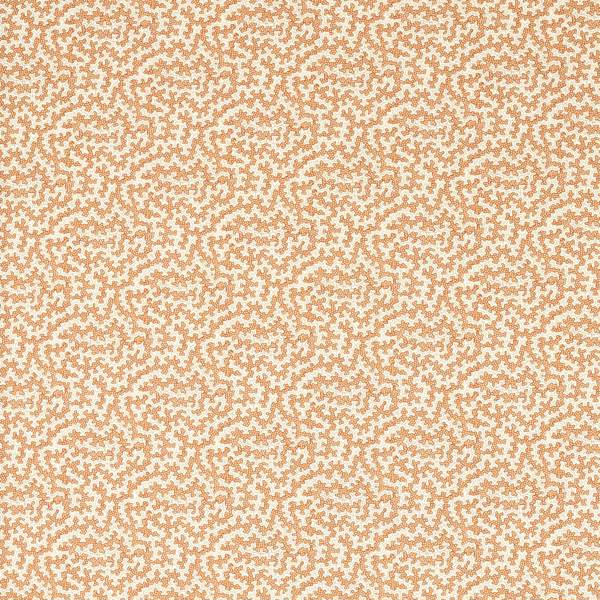 Truffle Sandstone — Sanderson -kangasnäyte