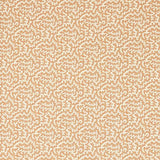 Truffle Sandstone — Sanderson -kangasnäyte