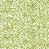 Sanderson Fabric Truffle — Indoor Outdoor Prints Olive