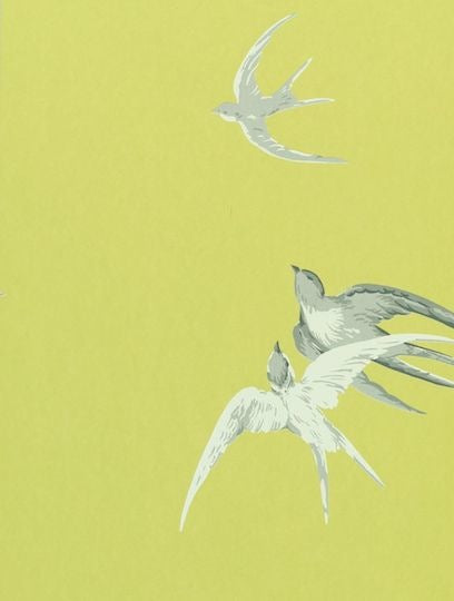 Swallows Lime — Sanderson tapetprov