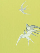 Swallows Lime — Sanderson tapetprov