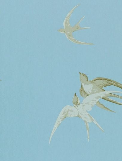 Swallows Wedgewood — Sanderson tapetprov