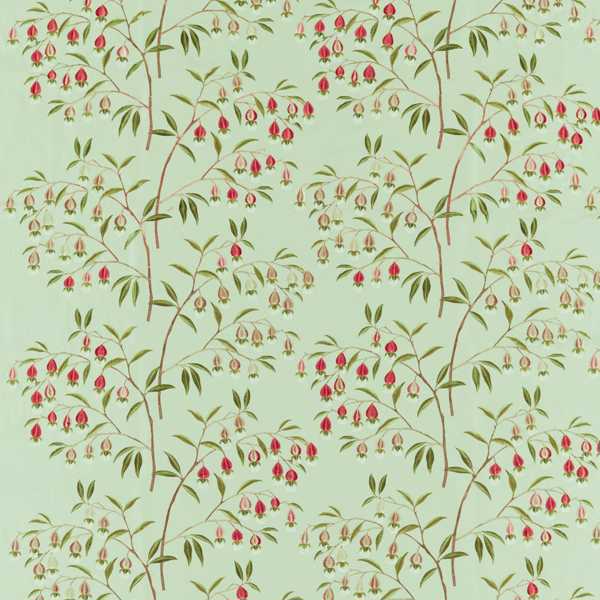 Chinese Lantern Mint & Apricot — Sanderson -kangasnäyte