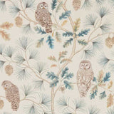 Sanderson Tapet Owlswick (Wallpaper) Teal