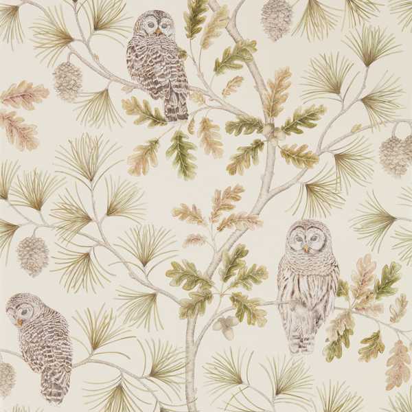 Sanderson Tapet Owlswick (Wallpaper) Briarwood
