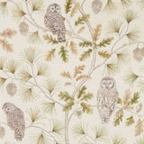 Sanderson Tapet Owlswick (Wallpaper) Briarwood