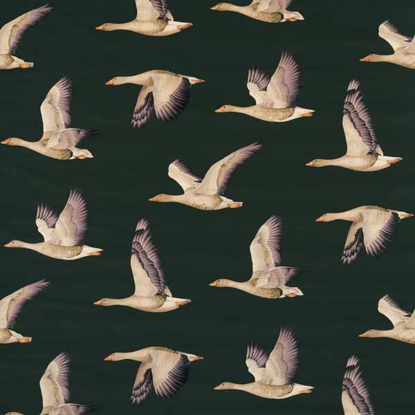 Elysian Geese Forest/Fig — Sanderson -kangasnäyte
