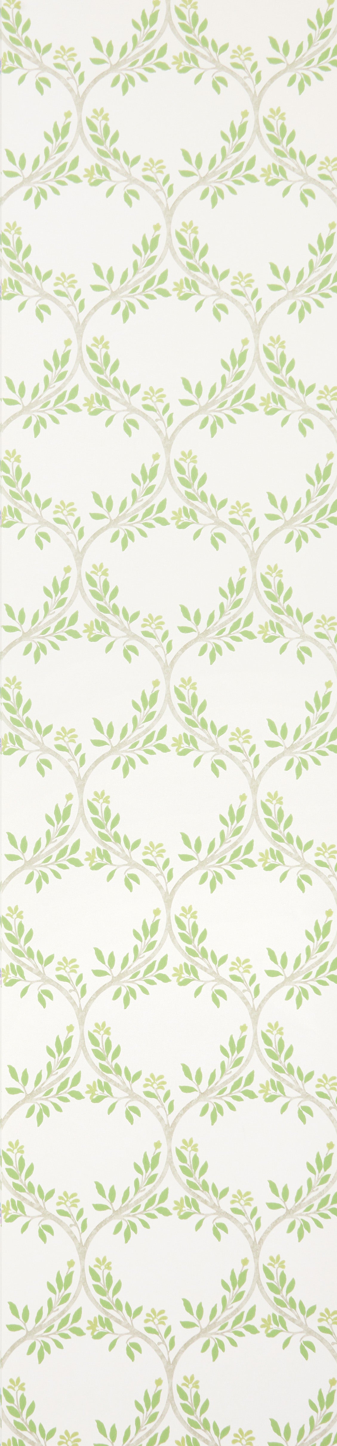 Osborne and Little Wallpaper Arber Green