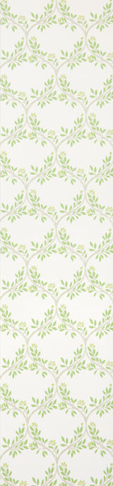 Osborne and Little Wallpaper Arber Green