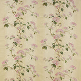 Colefax and Fowler Stof Summerby Silk Pink Green
