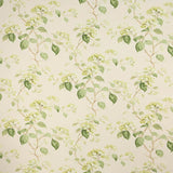 Colefax and Fowler Stoff Summerby Leaf Green