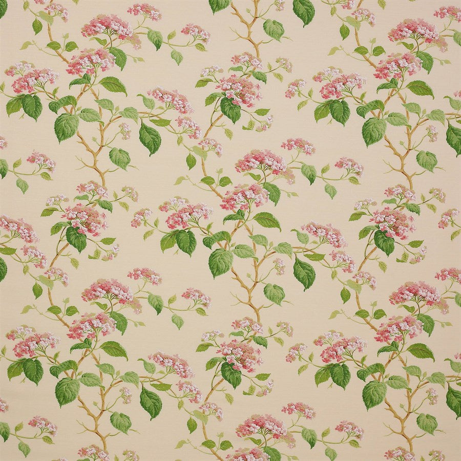 Colefax and Fowler Stoff Summerby Pink