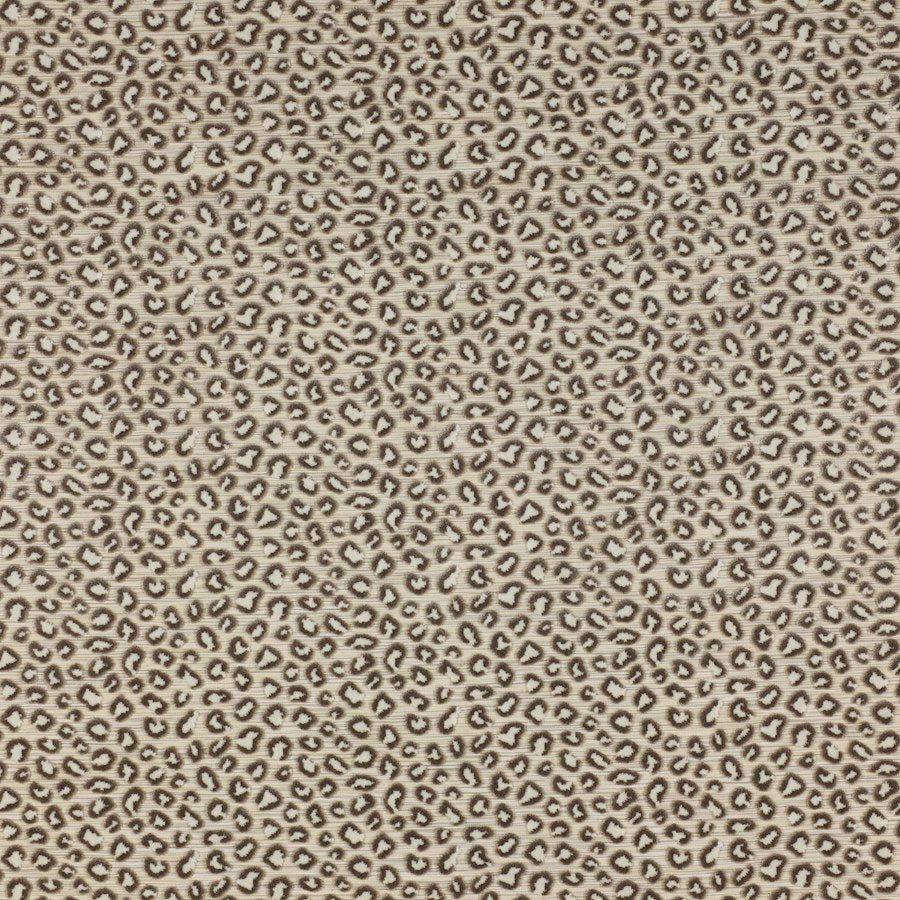 Colefax and Fowler Tyg Wilde Silver