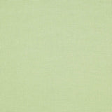 Colefax and Fowler Foss Mint -kangas