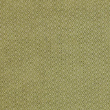 Colefax and Fowler Fabric Kelston Leaf