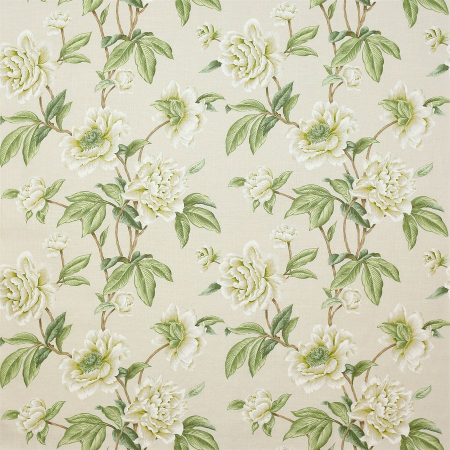 Giselle Fabric