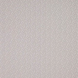 Colefax and Fowler Stof Blythe Silver
