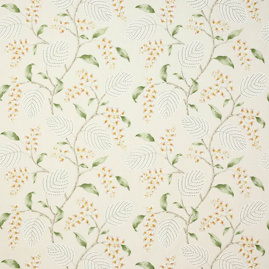 Colefax and Fowler Tyg Atwood Apricot Leaf