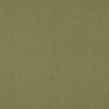 Colefax and Fowler Stoff Tyndall Sage