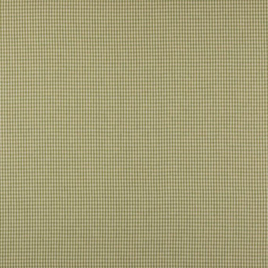 Colefax and Fowler Stoff Jay Check Leaf Green