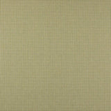 Colefax and Fowler Stoff Jay Check Leaf Green
