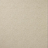Colefax and Fowler Tyg Chester Silver