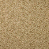 Colefax and Fowler Tyg Chester Gold