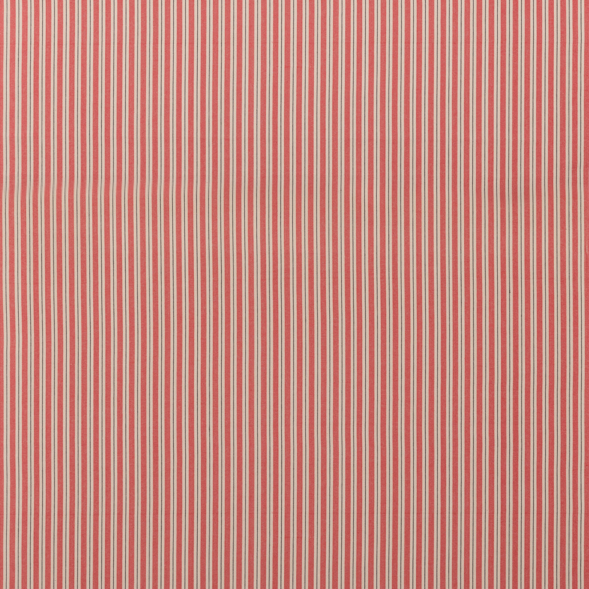 Compass Stripe H Red tyg