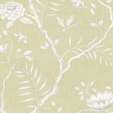 Jasper Peony Mimosa — Lewis & Wood wallpaper sample