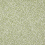 Manuel Canovas Tyg Suzanne Prairie